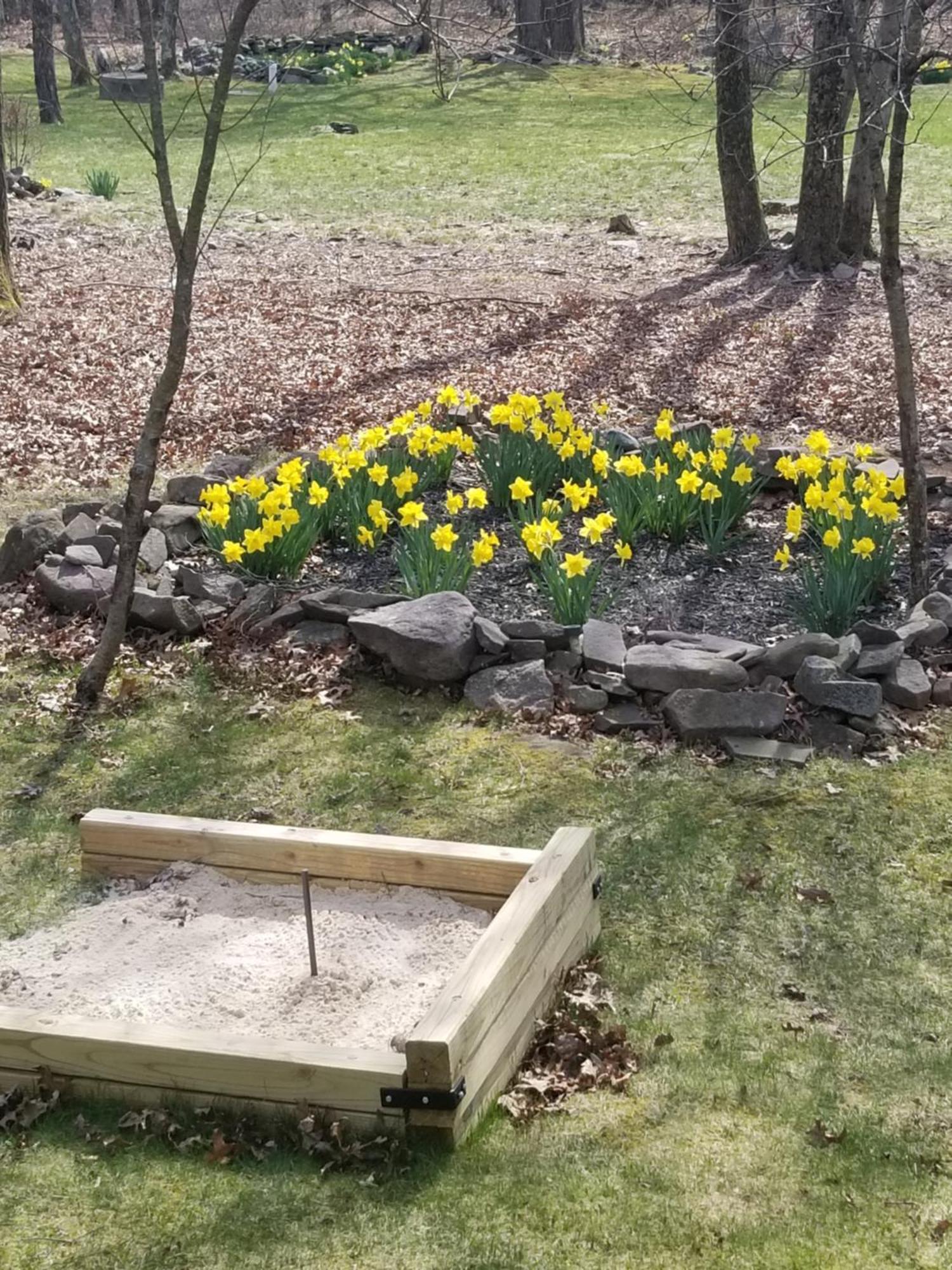 Serenity And Fun All In One In This Cozy Pocono Cabin Jim Thorpe Eksteriør bilde